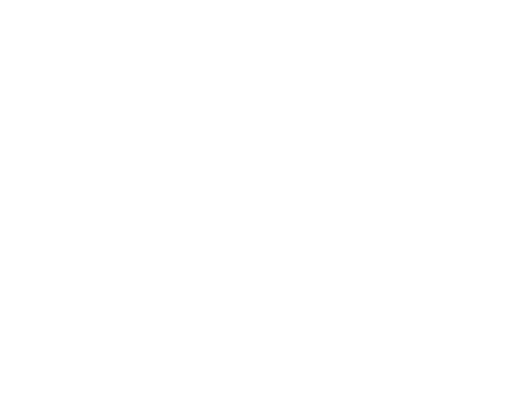 logo fattoria di Lamole, Antico Lamole